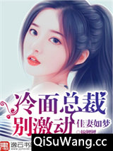佳妻如梦：冷面总裁别激动