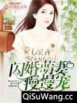 闪婚萌妻慢慢宠