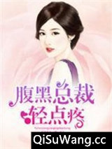 腹黑总裁轻点疼