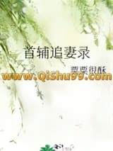首辅追妻录