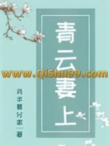 青云妻上