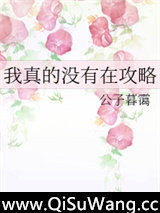我真的没有在攻略