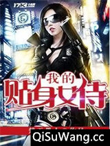 我的贴身女侍