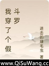 我穿了个假斗罗