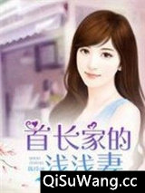 首长家的浅浅妻