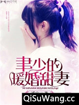聿少的暖婚甜妻