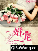 一婚二宠