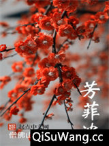 芳菲浓