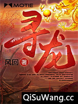寻龙