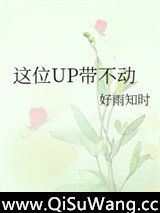 这位UP带不动