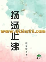 扬汤止沸