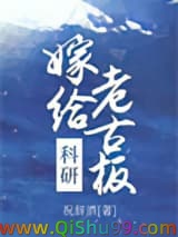 嫁给科研老古板