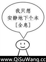 我只想安静地下个本[全息]