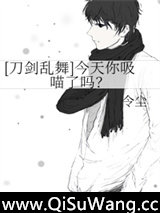 [刀剑乱舞]今天你吸喵了吗？