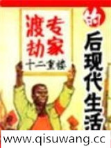 渡劫专家的后现代生活
