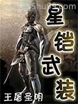 星铠武装