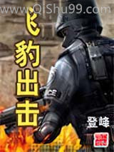 飞豹出击