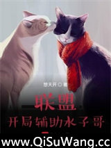 联盟：开局辅助水子哥