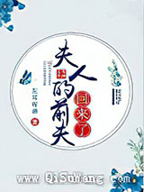 夫人的前夫回来了