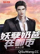 妖孽奶爸在都市