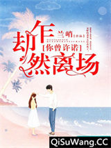 你曾许诺，却乍然离场