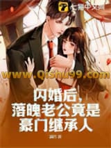 闪婚后，落魄老公竟是豪门继承人