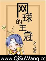 [网王]网球的王冠