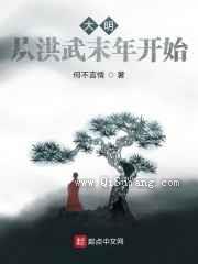 大明：从洪武末年开始