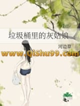 垃圾桶里的灰姑娘