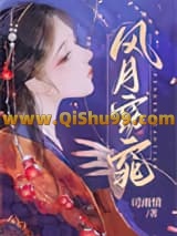 风月窈窕