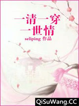 一清一穿一世情