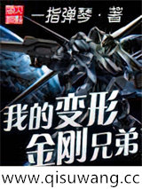 我的变形金刚兄弟