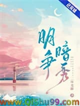 明争暗秀