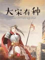 大宋有种