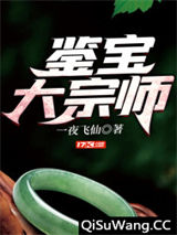 鉴宝大宗师
