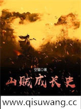 山贼成长史