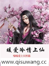 暖爱冷情上仙
