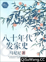 八十年代发家史