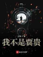 我不是贾贵