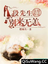 真情假意：段先生别来无恙