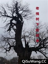 老槐树下的故事