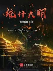 统计大明