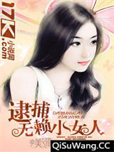 逮捕无赖小女人
