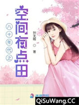 八十年代之空间有点田