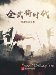 全武将时代