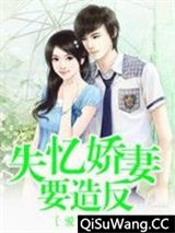 失忆娇妻要造反