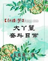 大丫鬟奋斗日常