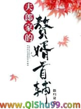 夫郎家的赘婿首辅