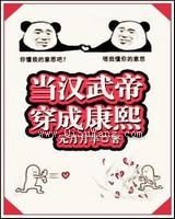 当汉武帝穿成康熙