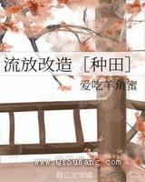 流放改造